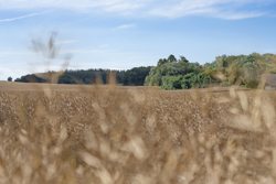 Tuesbakkevej 21, Terp, 8860 Ulstrup