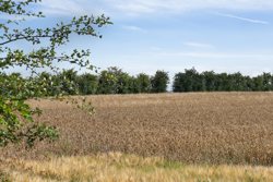 Tuesbakkevej 21, Terp, 8860 Ulstrup