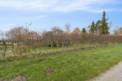 Haslevgaarde Bakker 11, Haslevgaarde, 9560 Hadsund