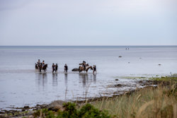 Stjernevej 3, Fjellerup Strand, 8585 Glesborg