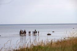 Stjernevej 3, Fjellerup Strand, 8585 Glesborg