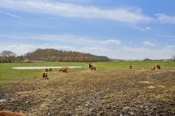 Sillerupvej 8, Kabdrup, 6100 Haderslev