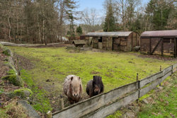 Svostrupvej 16, 8883 Gjern