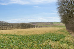 Galgehøj 161, Stenildvad, 9600 Aars