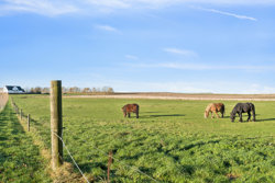 Mangehøje 6, Lee, 8850 Bjerringbro