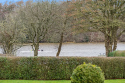 Ranunkelvej 4, Mejdal, 7500 Holstebro