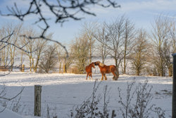 Fladstrupvej 20, Lyngby, 8570 Trustrup