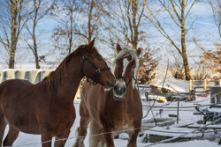 Fladstrupvej 20, Lyngby, 8570 Trustrup