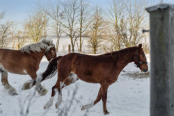 Fladstrupvej 20, Lyngby, 8570 Trustrup