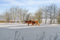 Fladstrupvej 20, Lyngby, 8570 Trustrup