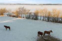 Fladstrupvej 20, Lyngby, 8570 Trustrup