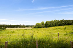 Gl Kongevej 22, Grønbæk, 8643 Ans By