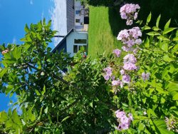 Solbjergvej 19, Øster Hurup, 9560 Hadsund