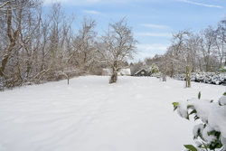 Ørsbjerg Skovvej 24, Faurskov, 5560 Aarup