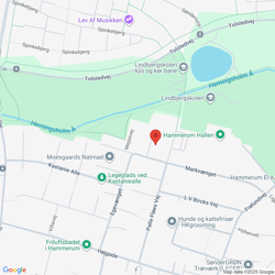 Spurvevej 6, Hammerum, 7400 Herning