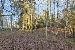 Svostrupvej 16, 8883 Gjern