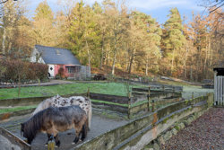 Svostrupvej 16, 8883 Gjern