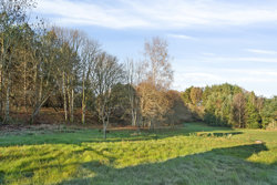 Estruplundvej 31A, Store Sjørup, 8950 Ørsted