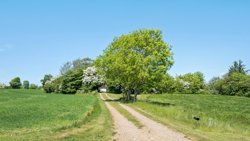 Impgårdvej 4, Ungstrup, 8620 Kjellerup