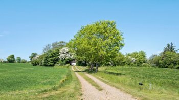 Impgårdvej 4, 8620 Kjellerup