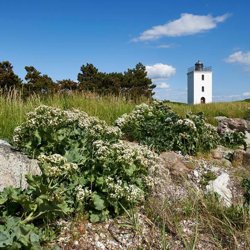 Prinsehøjsvej 31, Bågø, 5610 Assens