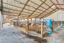 Sdr Vråvej 126, Refsnæs, 9760 Vrå