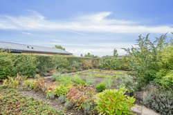 Solvangsvej 36, 9700 Brønderslev