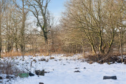 Horndrupvej 21, 8660 Skanderborg