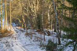 Horndrupvej 21, 8660 Skanderborg