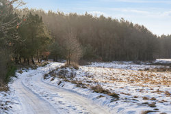 Horndrupvej 21, 8660 Skanderborg