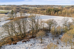 Horndrupvej 21, 8660 Skanderborg