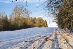 Horndrupvej 21, 8660 Skanderborg