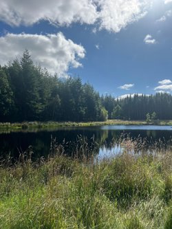 Skørping Skovbrynet 14, 9520 Skørping