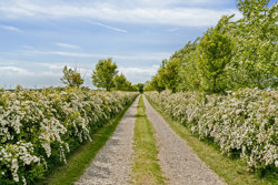 Stavadvej 32, Thise, 9700 Brønderslev