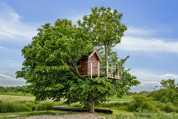 Stavadvej 32, Thise, 9700 Brønderslev