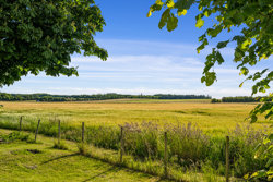 Vesterbyvej 11, Øland, 9460 Brovst