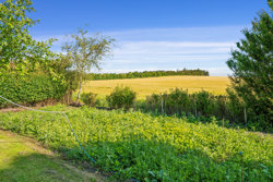 Vesterbyvej 11, Øland, 9460 Brovst