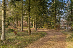 Mosevej 22, Virksund, 7840 Højslev