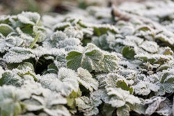 Voldbyvej 18B, Sjelle, 8464 Galten