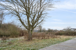 Søndergårdsvej 1, Stouby, 8983 Gjerlev J