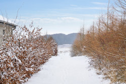 Tingbakken 108, 8883 Gjern