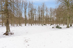 Bavnehøjvej 1, 1 th, 8500 Grenaa