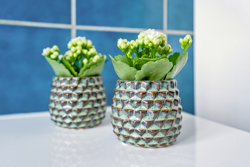 Dannebrogsgade 41, 9700 Brønderslev