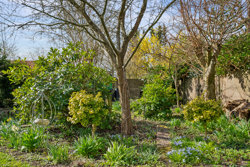 Dannebrogsgade 41, 9700 Brønderslev