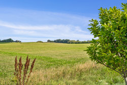 Hallundvej 283, 9700 Brønderslev