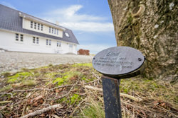 Hjabelundvej 126, 9830 Tårs