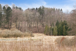 Tåningvej 60, 8660 Skanderborg