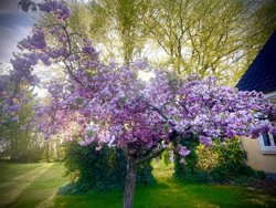 Redsøvej 11, Redsø, 9500 Hobro