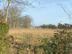 Sommerland 127, Odde, 9560 Hadsund