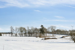 Grølstedvej 10, Grølsted, 8881 Thorsø